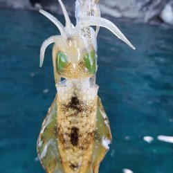 まだまだ・・。